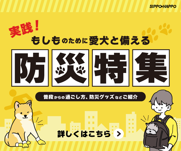 実践！もしものために愛犬と備える防災特集記事